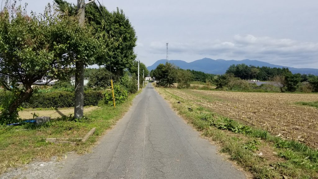 (外観)