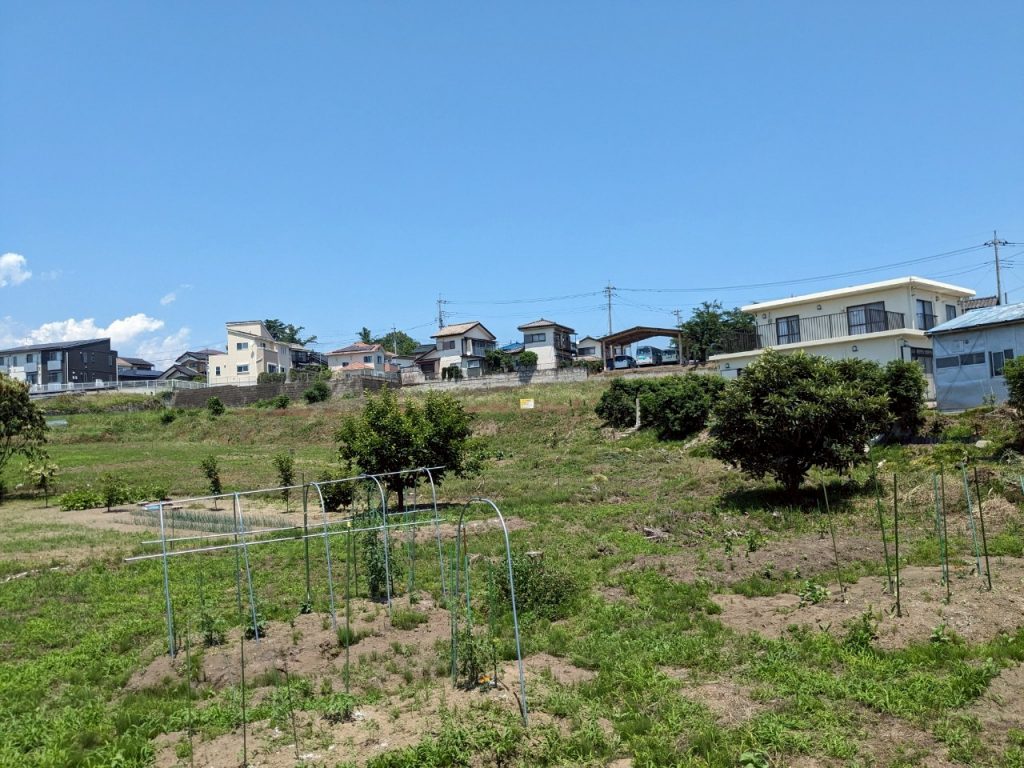 (外観)