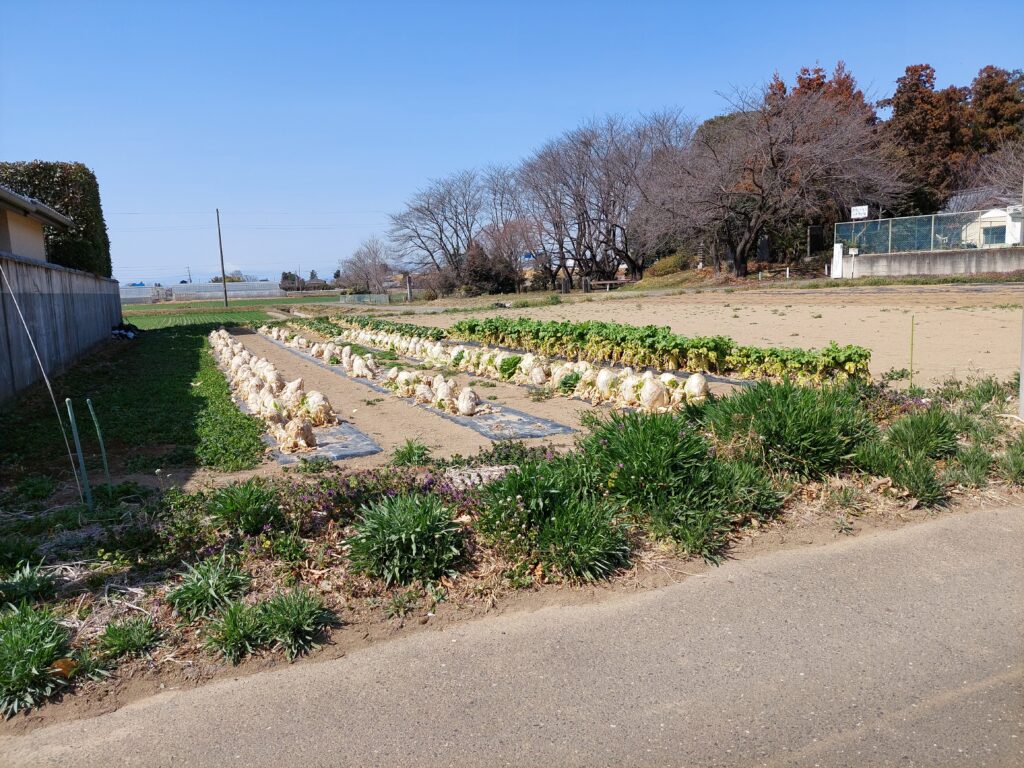 (外観)