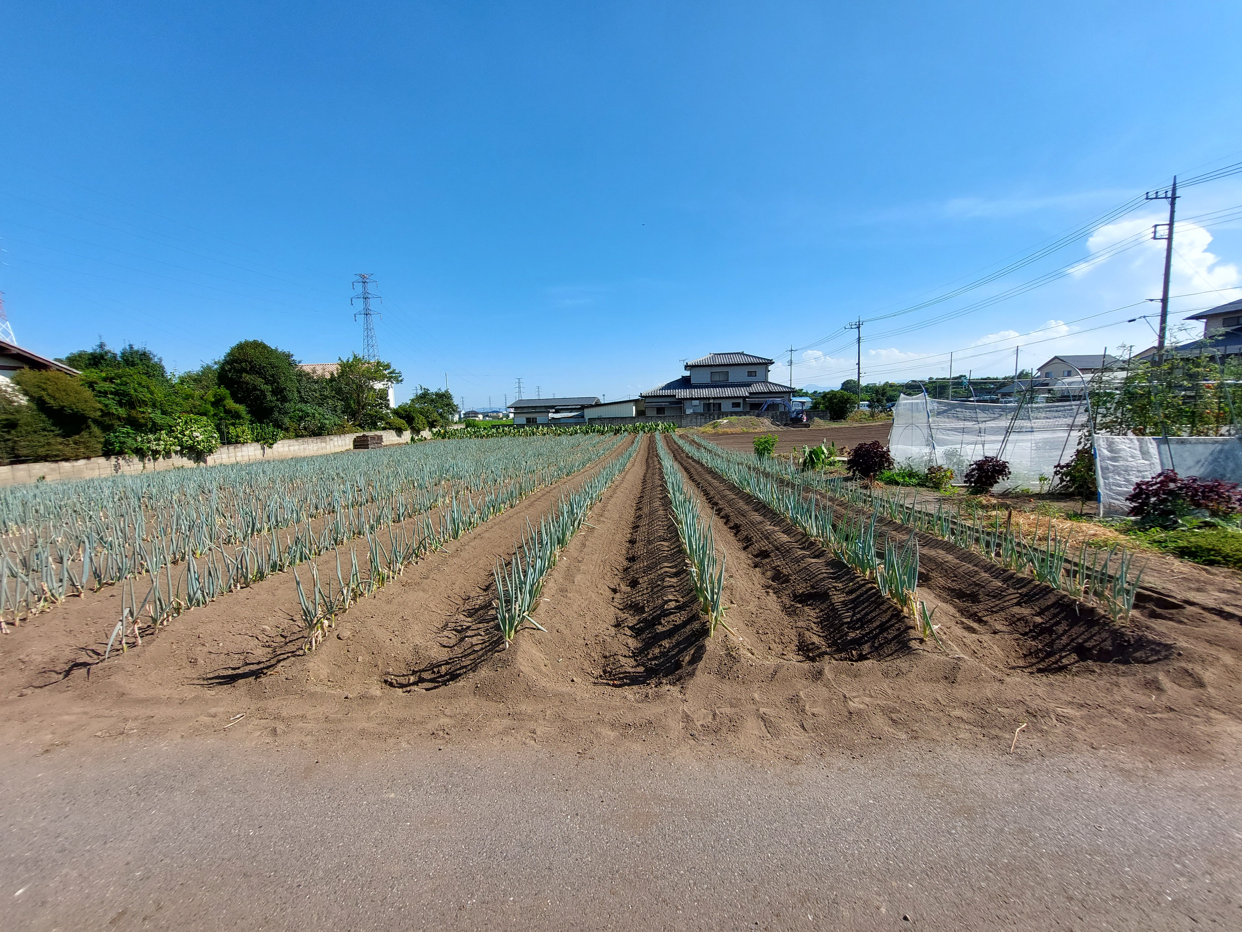【売地】 前橋市上青梨子町 ②区画
