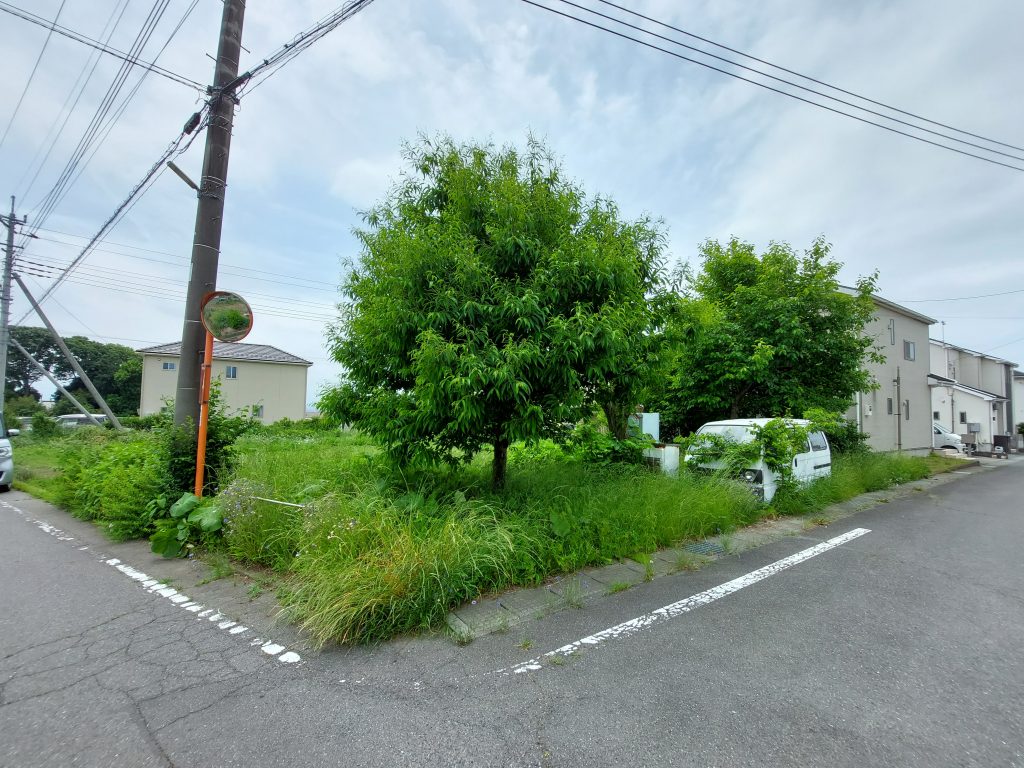 (外観)