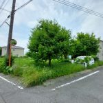 (外観)
