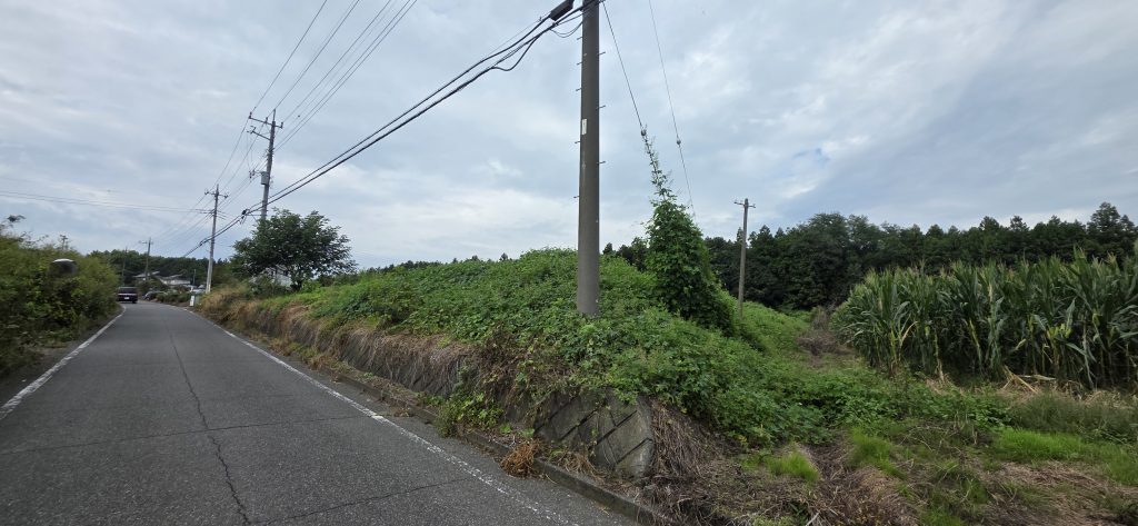 (外観)