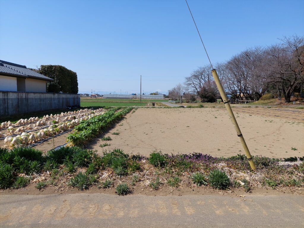 (外観)